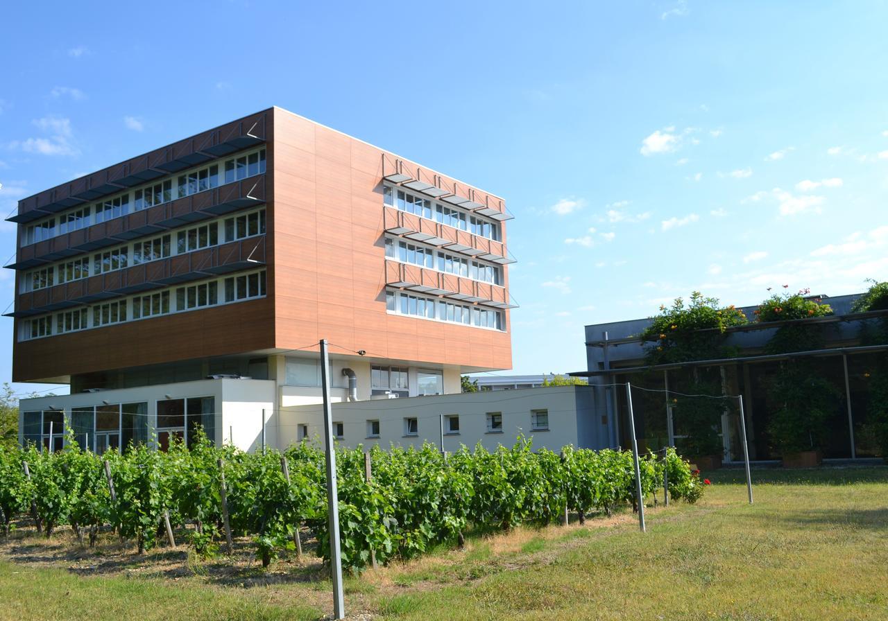 Hotel De Guyenne Talence Buitenkant foto